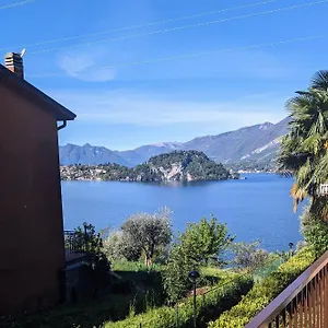 Pinus , Varenna Italie